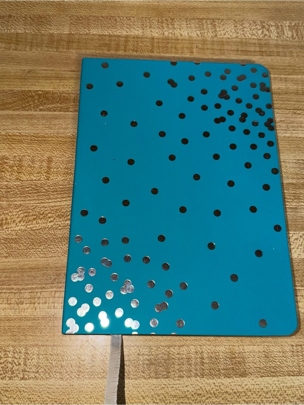 6x8 Teal Notebook with Metallic Polka Dots writing notes